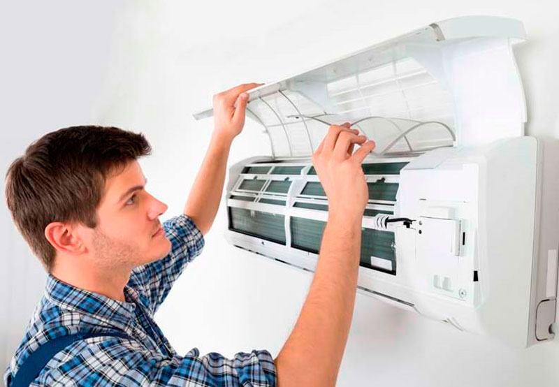 Descrição da Imagem